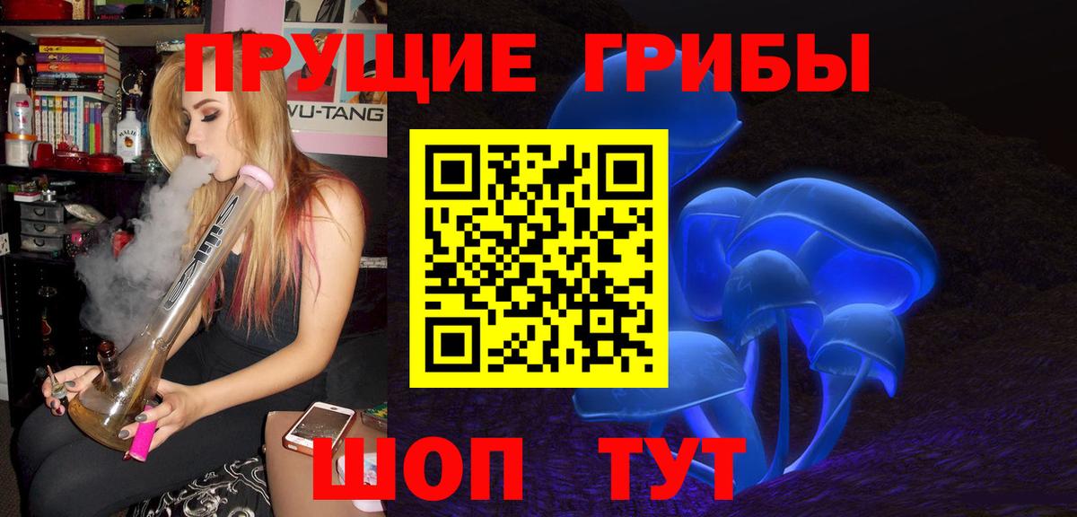 Галлюциногенные грибы Cubensis Урус-Мартан