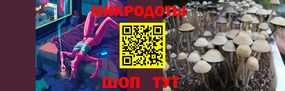 купить наркотики цена  Псилоцибиновые грибы Psilocybe  Псилоцибиновые грибы мухоморы  Вход с VPN  Урус-Мартан 